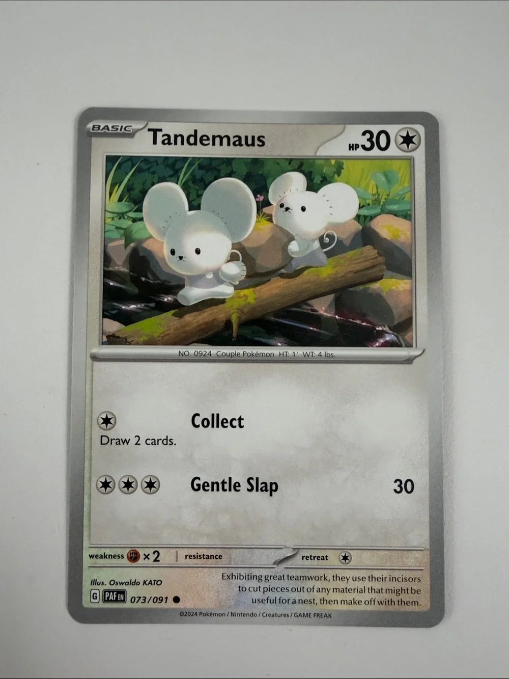 💖 Cute Pokémon Card Lot | Fidough Dachsbun Emolga Tandemaus Cherubi ✨5/$25✨